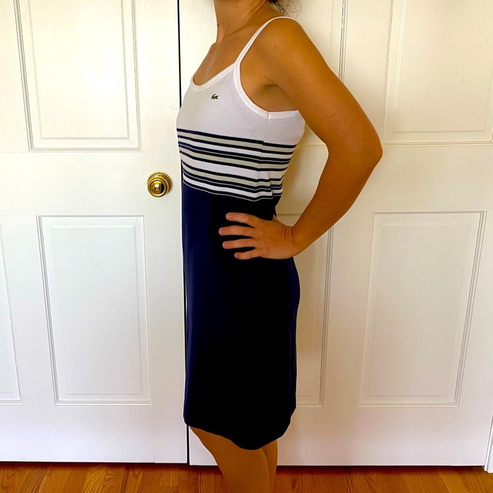 White and Navy Lacoste Dress